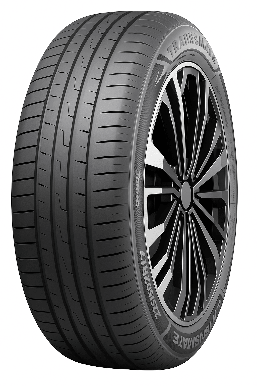 195/65R15 91V TRANSMATE Transerenus ECO / лето