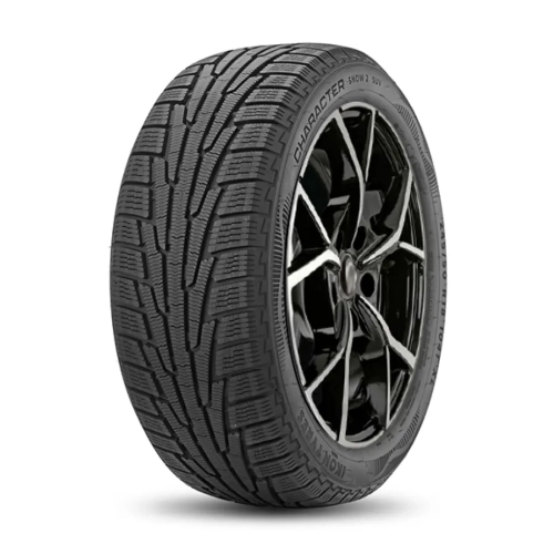 205/60R16 96R XL Ikon Character Snow 2/зима