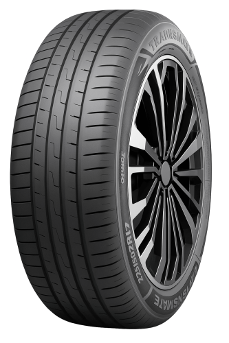 195/65R15 91V TRANSMATE Transerenus ECO / лето